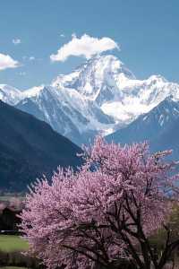 林芝桃花盛放！雪山花海美得令人窒息