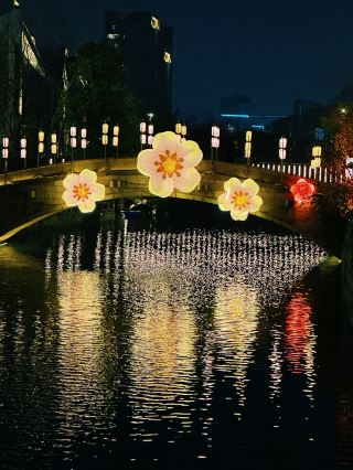 Shanghai's best night view! Panlong Tiandi's Little Dragon Lantern Festival is breathtaking.