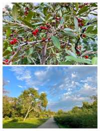 里賈納寶藏漫步，Wascana湖全攻略。