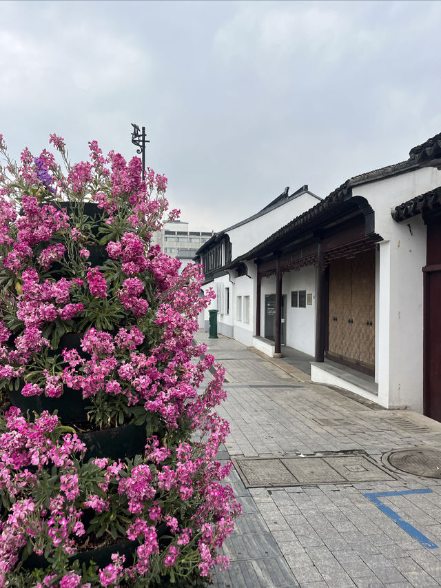 春日尋花漫步