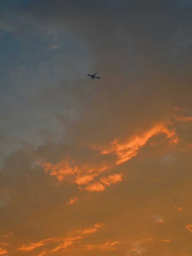 去前海石公園，提前感受深圳的夏天