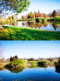 昆明周邊遊 | 滇池一角，寶豐濕地公園