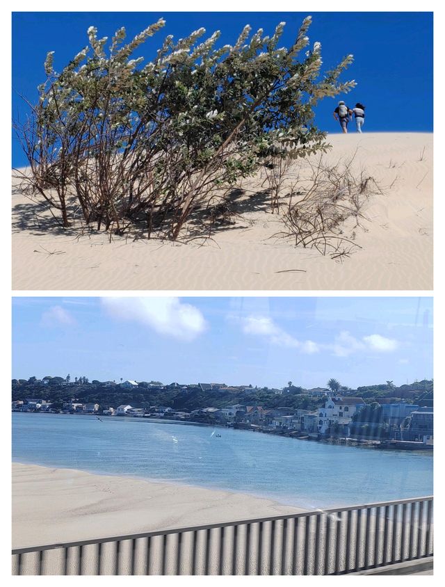 南非寶藏地，伊麗莎白港超詳細遊玩攻略。