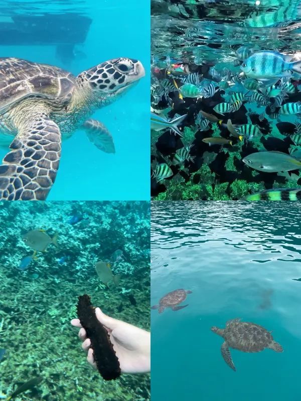 Redang Island is back and it's absolutely stunning!