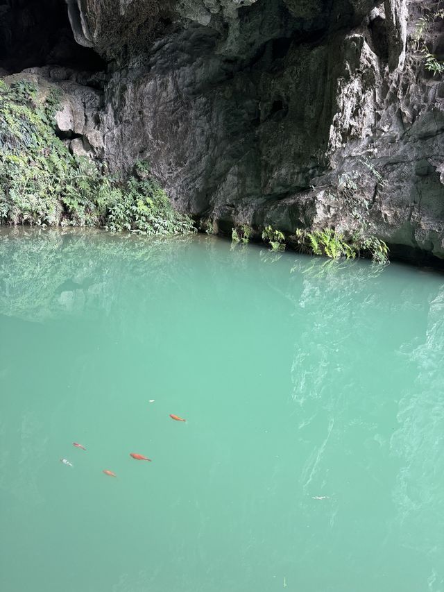 崇左-百色-河池3日遊 玩轉廣西小眾秘境
