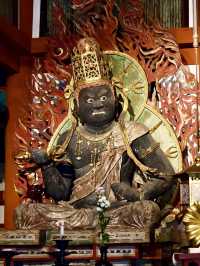 禪意與時光的交織：探訪天野山金剛寺