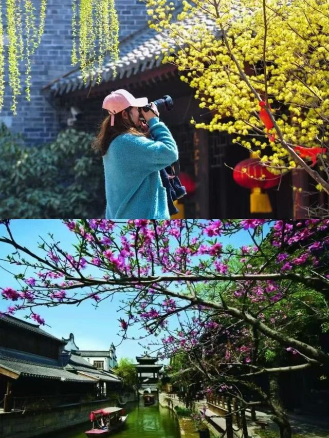 三月旅行必去！台兒莊古城春日限定！