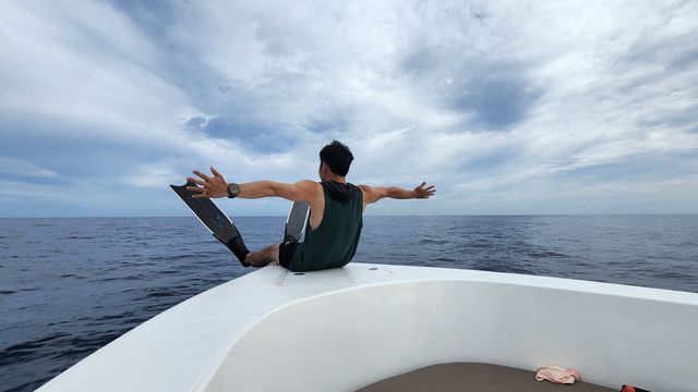 毛里裘斯追鯨照張張都想珍藏