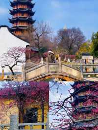 常州｜4-5月份反向旅遊真的很香，人少景美