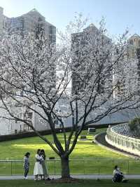 免費賞花打卡勝地！地鐵直達超方便