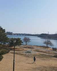 闖進現實版莫奈花園，邂逅高陽市的浪漫