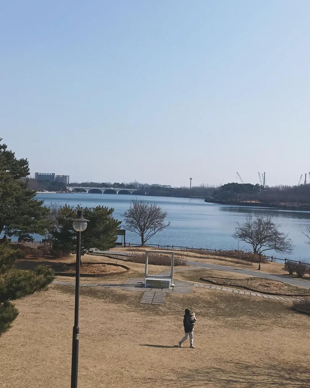 闖進現實版莫奈花園，邂逅高陽市的浪漫