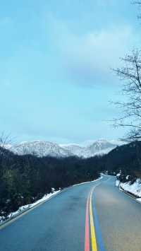 在春日裡去雪山撒歡