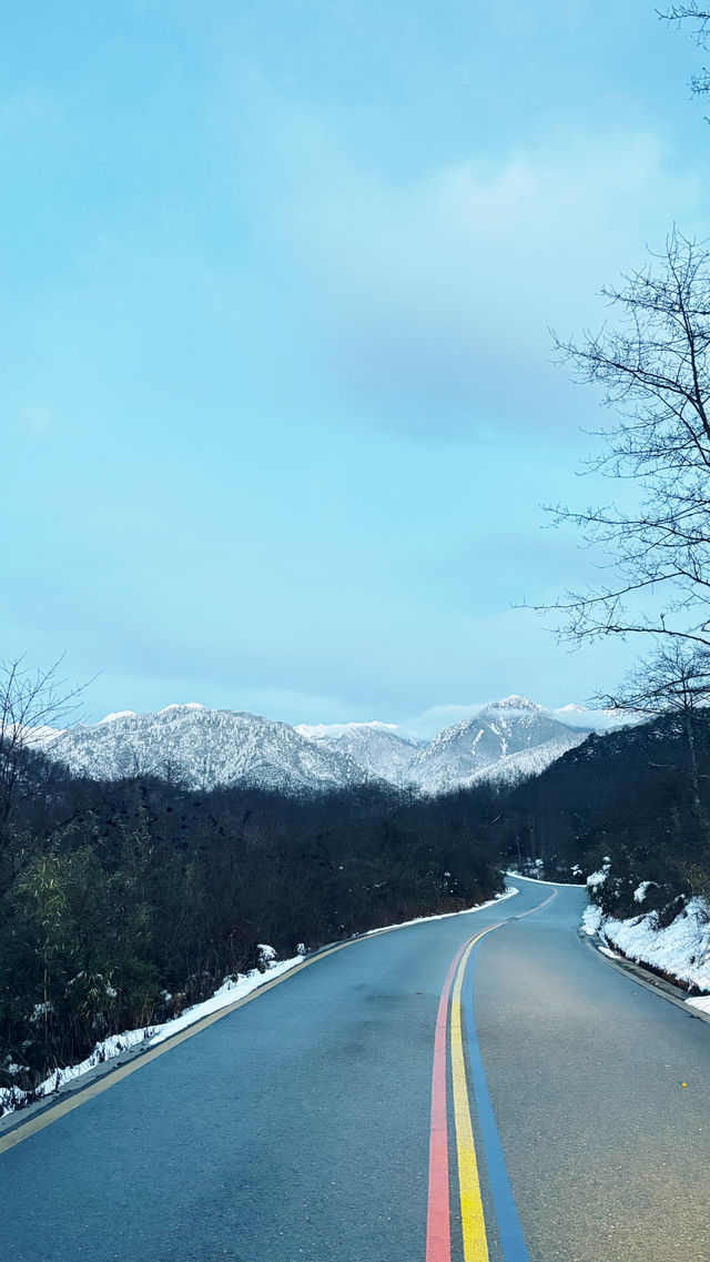 在春日裡去雪山撒歡