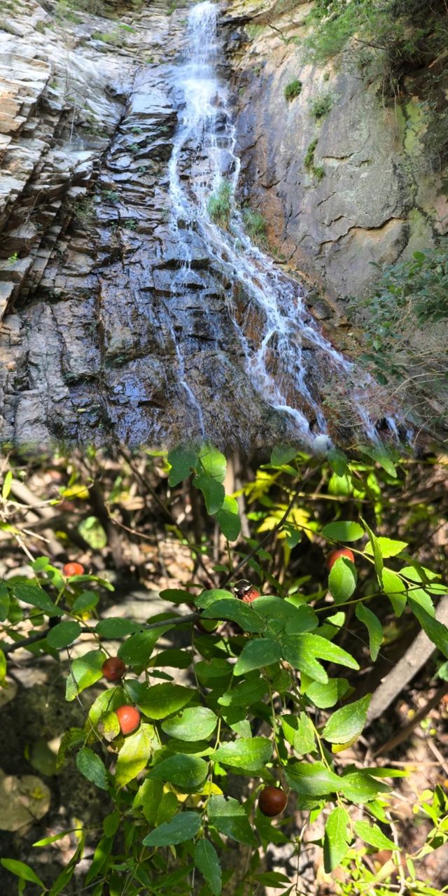 黑山寺，魂牽夢縈至今未歸