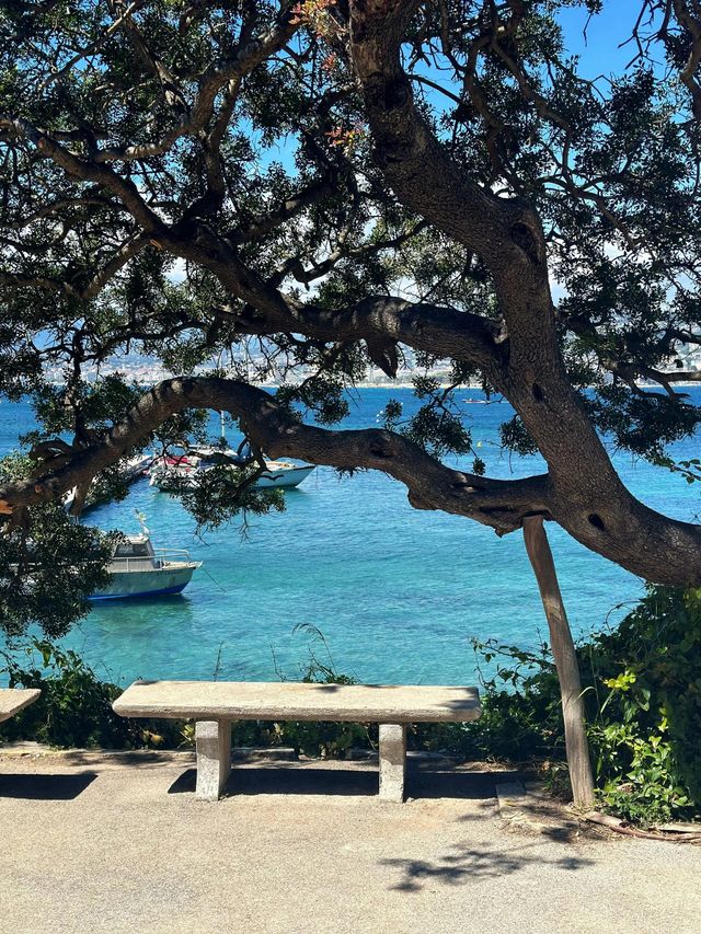 南法聖瑪格麗特島|神秘的隱世離 島