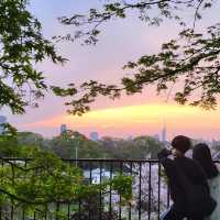 🌸福岡遊之舞鶴公園賞櫻🌸 
