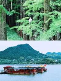 杭州旅遊｜天目山嘅深邃寧靜真係好寫意。