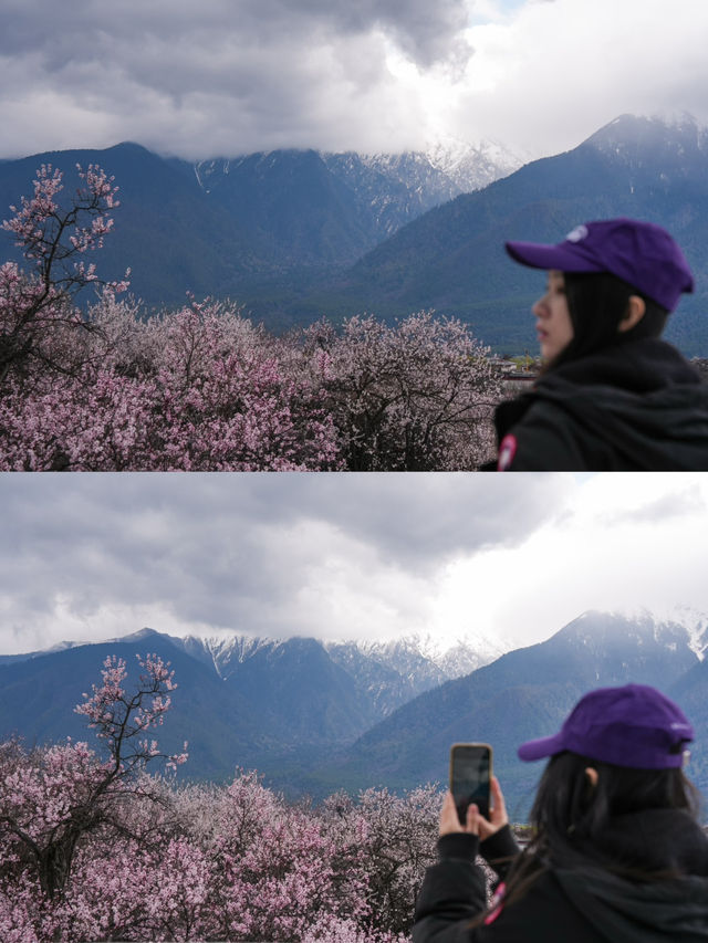 為了西藏的雪山與桃花｜專門去了次米林