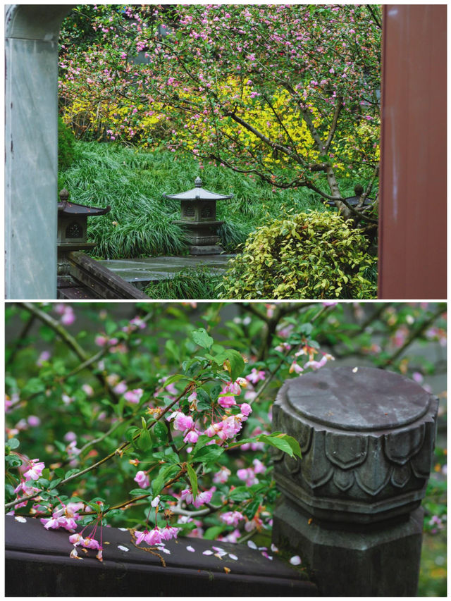 姐妹們👋，我可是個痴迷旅行嘅人，最近啱啱去杭州行咗一圈，4月嘅杭州簡直美若仙境，依家就急不及待想將呢份攻略分享俾大家，一齊踏上呢趟夢幻之旅啦！