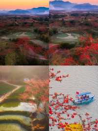 海南昌江 | 一個被嚴重低估嘅小眾旅遊寶藏地！