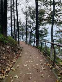 莫干山竹林秘境