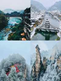 如夢似幻，天門山國家森林公園的絕美之旅。
