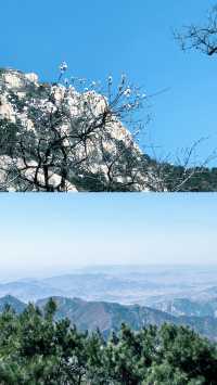 乜嘢？你想睇雲海？