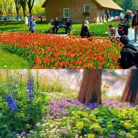 誤入莫奈花園！南京五一最佳旅行地