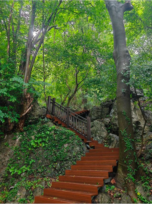 荊門太子山