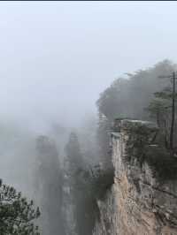 張家界｜奇幻山水間的冒險之旅