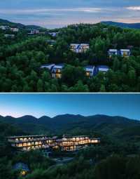 湖州·慧心谷 竹海茶園環繞嘅山景