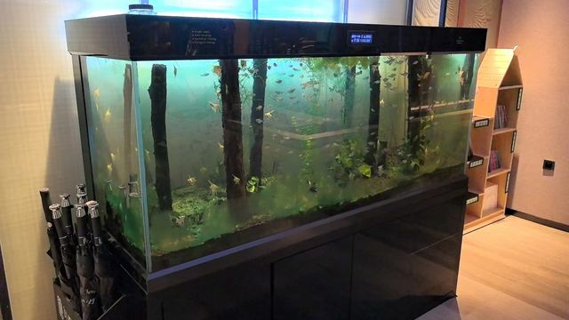 我宣布，我愛上你了（御楓酒店）