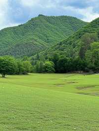 東北自駕封神！22℃森林秘境保姆級攻略