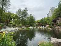 輔德里公園—疊石瀑布、杜鵑花海