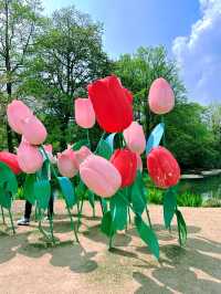 春日限定|杭州太子灣公園桃花觀賞攻略