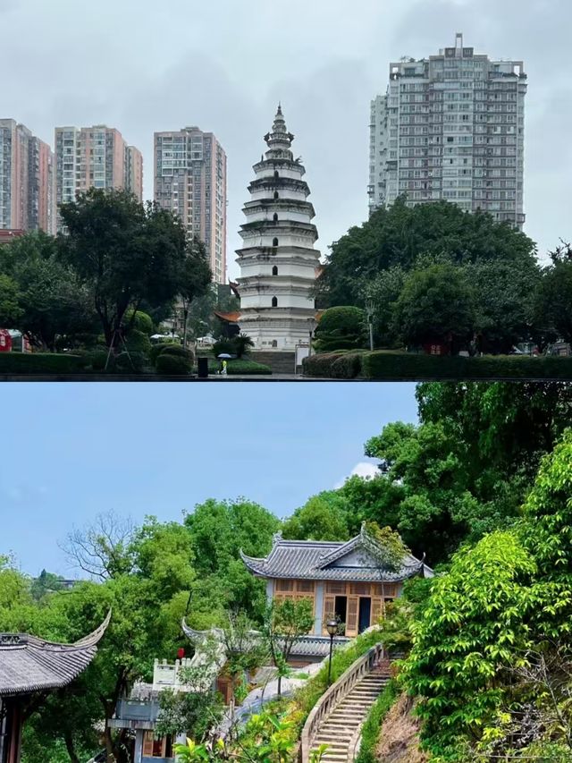 瀘州已回，能勸一個是一個。