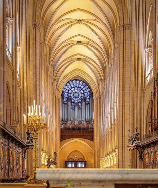 Vươn lên từ đống tro tàn/Nhà thờ Đức Bà Paris