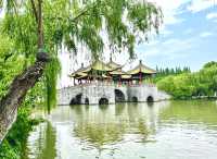 瘦西湖治癒兩日遊 | 煙花三月下揚州