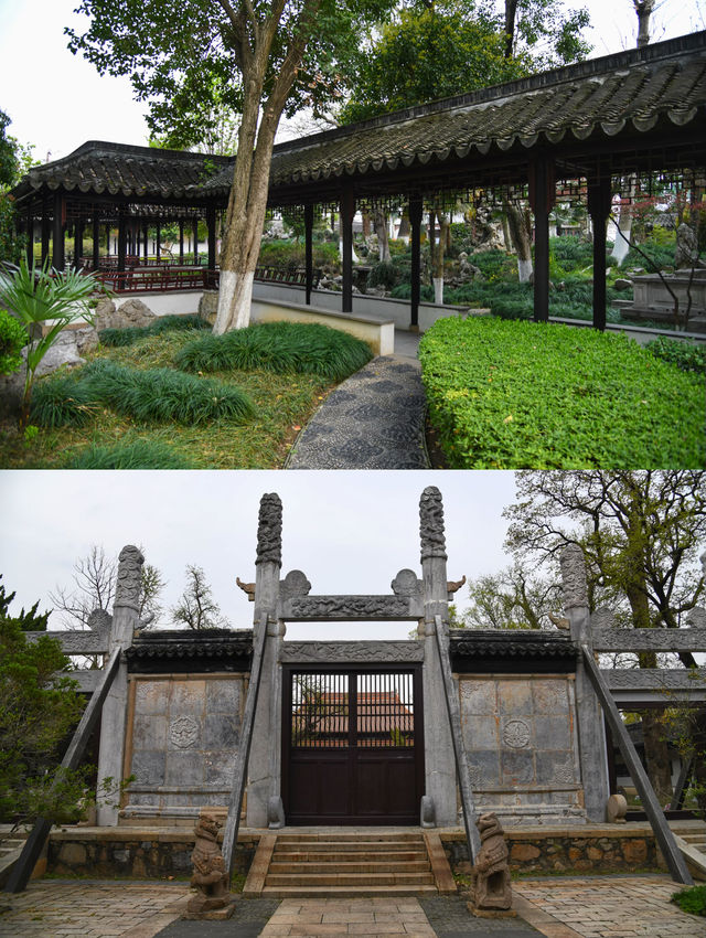 蘇州免費"國保"園林，藏在圖書館裡的天香小築。