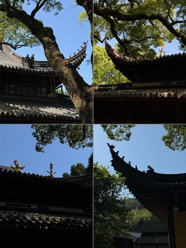 直達 浙江這座千年古剎 不來真的會後悔