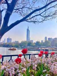 南京旅遊攻略
