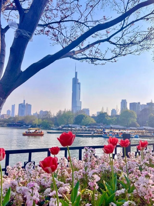 南京旅遊攻略