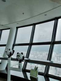 藏地之珠，靈性之光