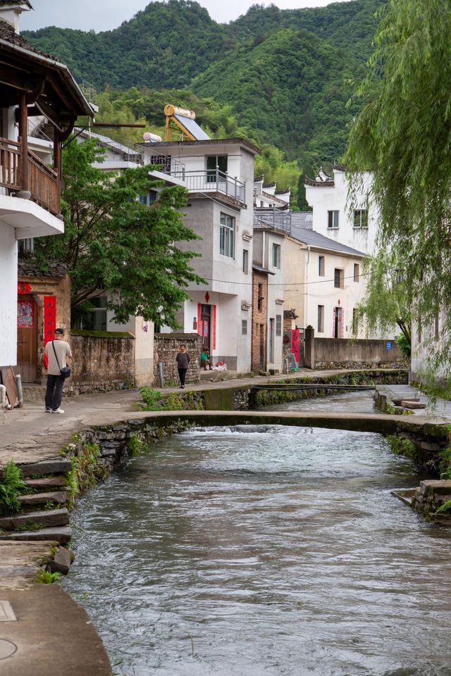 芹川古鎮｜藏了700年的江南淚