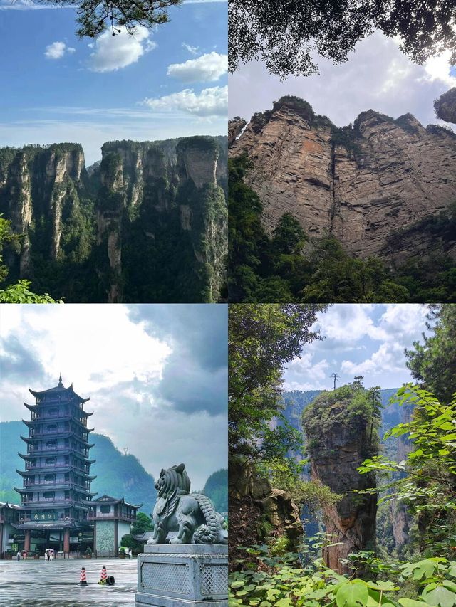 【天門山懶人包｜雲端漫步玻璃棧道尖叫體驗
