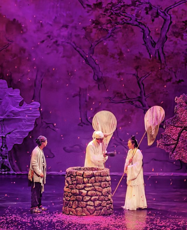 奔赴一場《暗戀桃花源》的奇幻之約