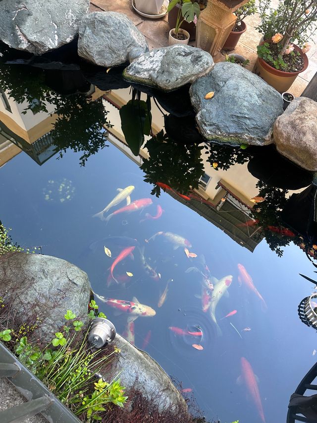 就喺麗江古城旁邊，呢間古風民宿真係正到爆！
