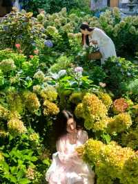 喺大理|住進莫奈花園裡，享受親子出遊浪漫