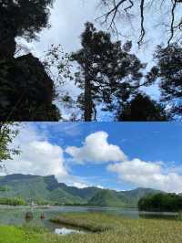 探秘「華中屋脊」，邂逅野人傳說！